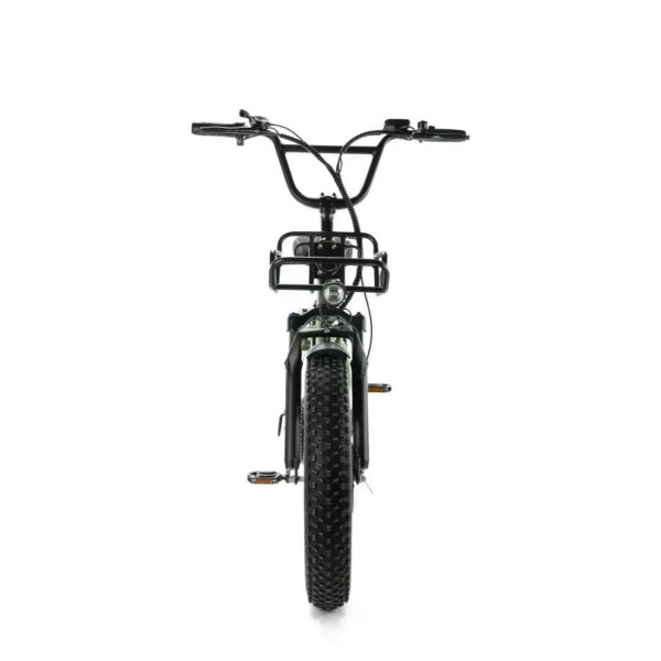 Family-Deal! | ENGWE L20 - Groen fatbike