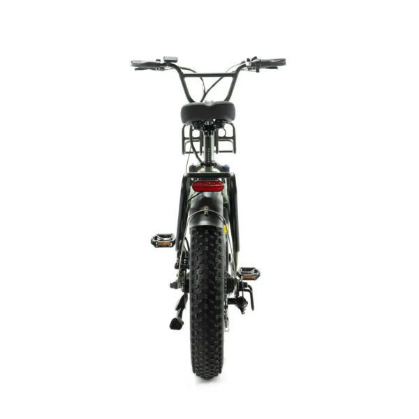 Family-Deal! | ENGWE L20 - Groen fatbike