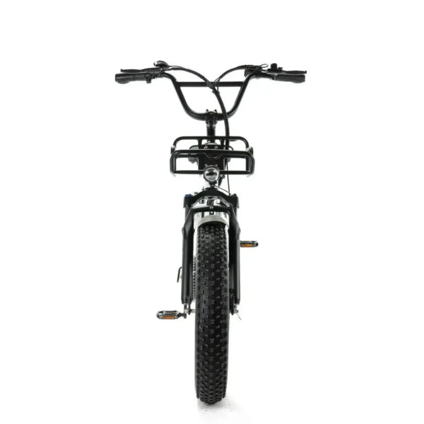 Family-Deal! | ENGWE L20 - Wit fatbike
