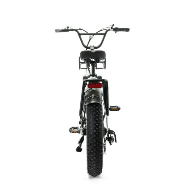 Family-Deal! | ENGWE L20 - Wit fatbike