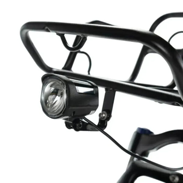 Family-Deal! | ENGWE L20 - Zwart fatbike