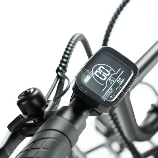 Family-Deal! | ENGWE L20 - Zwart fatbike