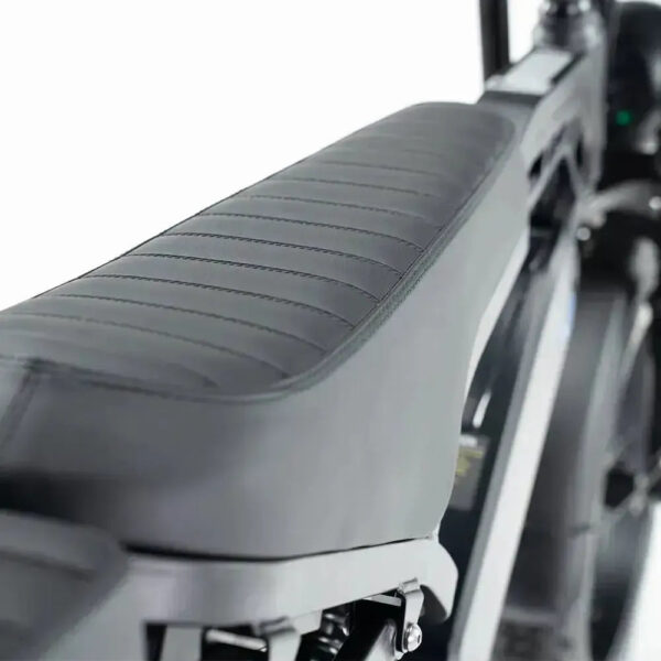Family Deal! | V20 Pro - Zwart fatbike