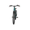 Fiido C11 Pro - Groen