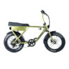 Grandeux Xplore - Groen fatbike