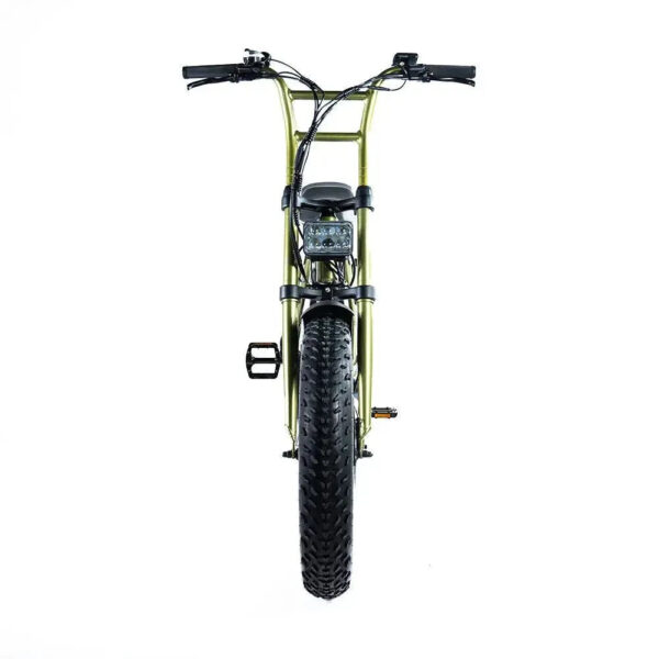 Grandeux Xplore - Groen fatbike