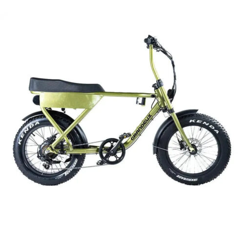 Grandeux Xplore - Groen fatbike