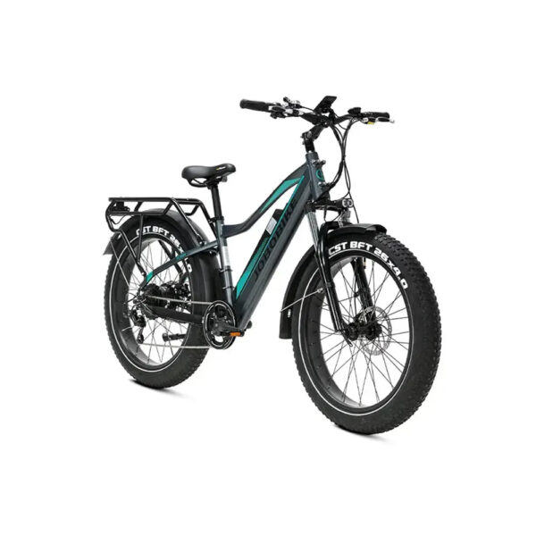 JOBOBIKE-Robin-GrijsGroen-fatbikeskopen_nl-2 JOBOBIKE Robin - Grijs/Groen fatbike
