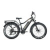 JOBOBIKE Robin Pro - Zwart-goud fatbike