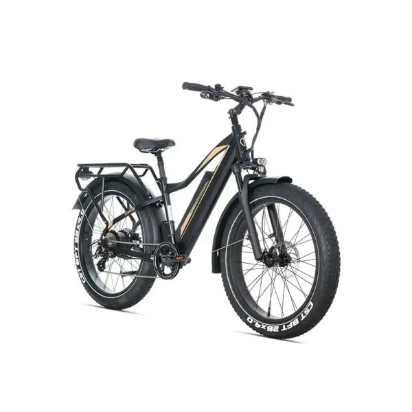 JOBOBIKE Robin Pro - Zwart-goud fatbike