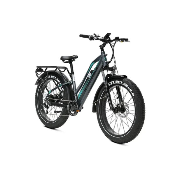 JOBOBIKE-Robin-ST-Grijs-Groen-fatbikeskopen_nl-2 JOBOBIKE Robin ST - Grijs-Groen fatbike