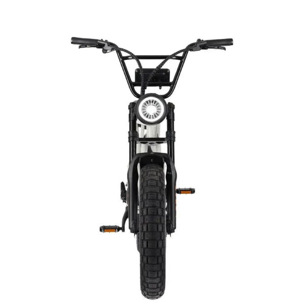 KOBRA V1.2 - Chalk fatbike