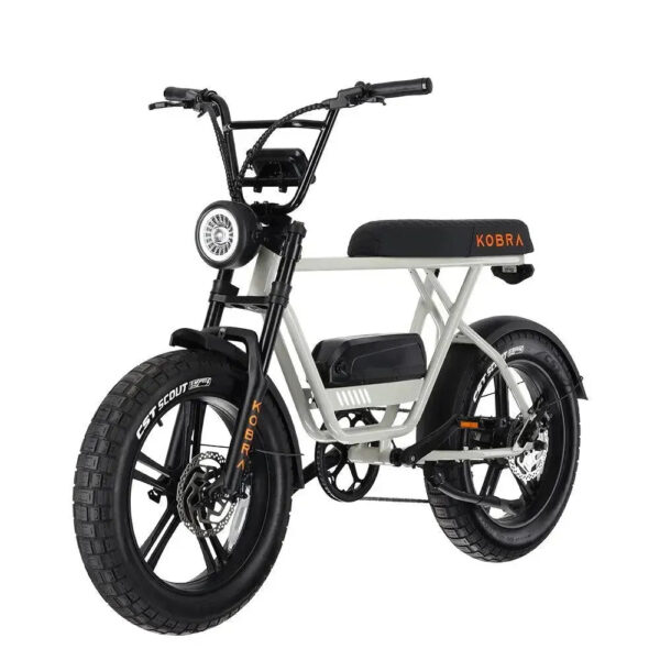 KOBRA V1.2 - Chalk fatbike