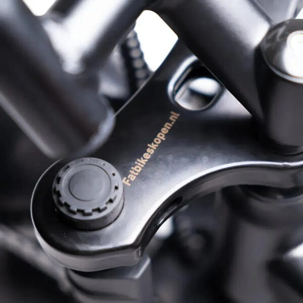 OUXI V8s (Spaken) - Zwart fatbike