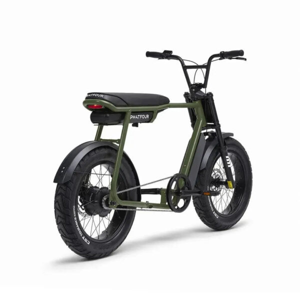 Phatfour FLX - Groen fatbike