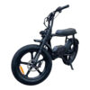 Pulse Q1 City - Zwart fatbike