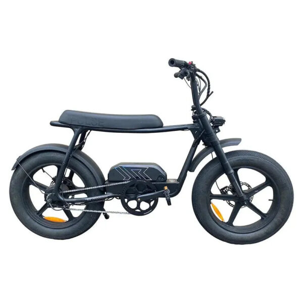Pulse Q1 City - Zwart fatbike