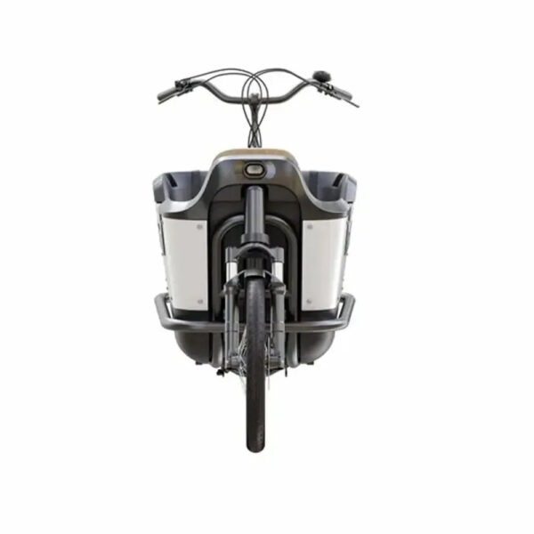 Royal Cargo Bike 2W Premium - Groen