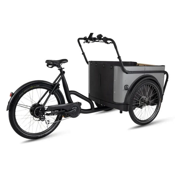 Royal Cargo Bike 3W Eco - Grijs