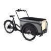 Royal Cargo Bike 3W Eco - Grijs