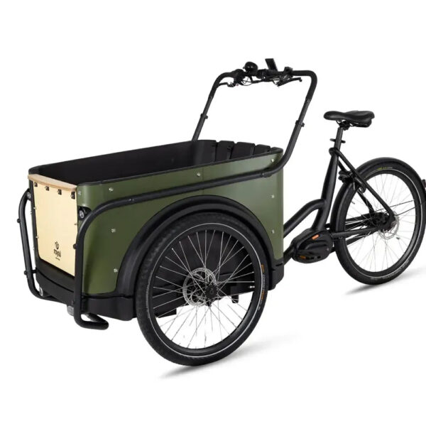 Royal-Cargo-Bike-3W-Premium-Groen-fatbikeskopen_nl-3 Royal Cargo Bike 3W Premium - Groen