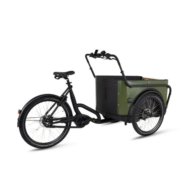 Royal-Cargo-Bike-3W-Premium-Groen-fatbikeskopen_nl-4 Royal Cargo Bike 3W Premium - Groen