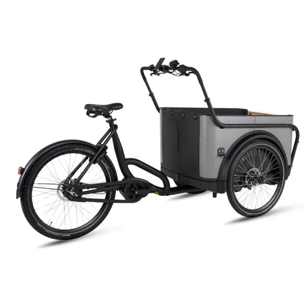 Royal Cargo Bike 3W Premium - Taupe