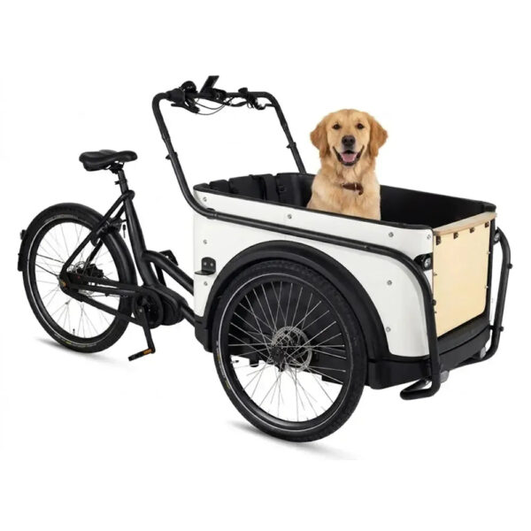 Royal Cargo Bike 3W Premium - Wit
