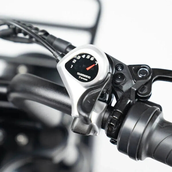 S20 Pro - Lichtgrijs fatbike