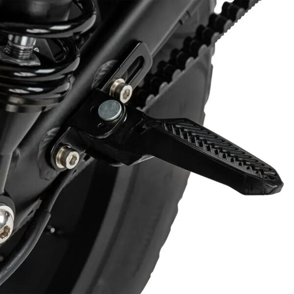 STOER Bikes S1+ - Groen fatbike