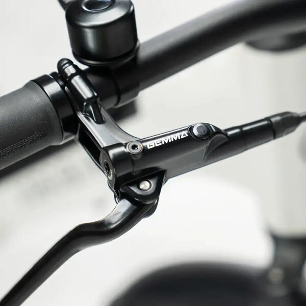 SUPER-Deal-JOBOBIKE-Dyno-GT-Grijs-fatbikeskopen_nl-8 JOBOBIKE Dyno GT - Grijs