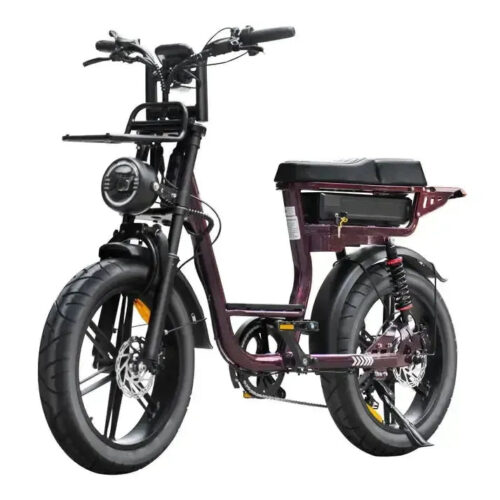V20 Comfort Pro - Paars fatbike