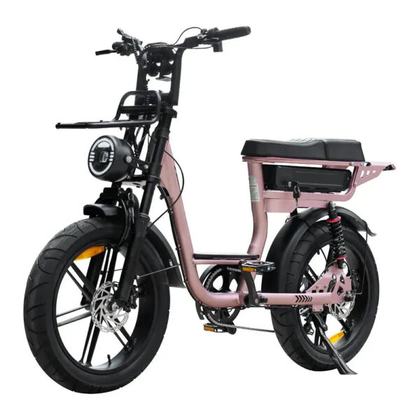 V20-Comfort-Rosegoud-fatbikeskopen_nl-2 V20 Comfort - Roségoud fatbike