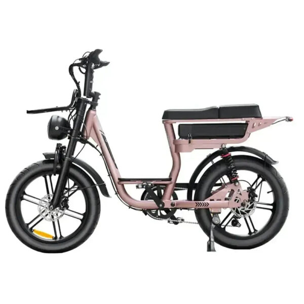 V20-Comfort-Rosegoud-fatbikeskopen_nl-3_06bde9b8 V20 Comfort - Roségoud fatbike
