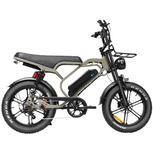V20 Limited - Bruin fatbike