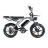 V20-Pro-Grijs-fatbikeskopen_nl V20 Pro - Grijs fatbike