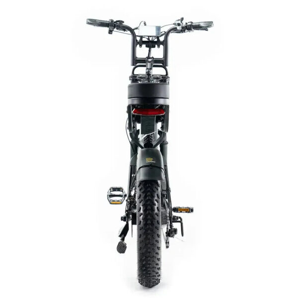 V20 Pro - Zwart fatbike