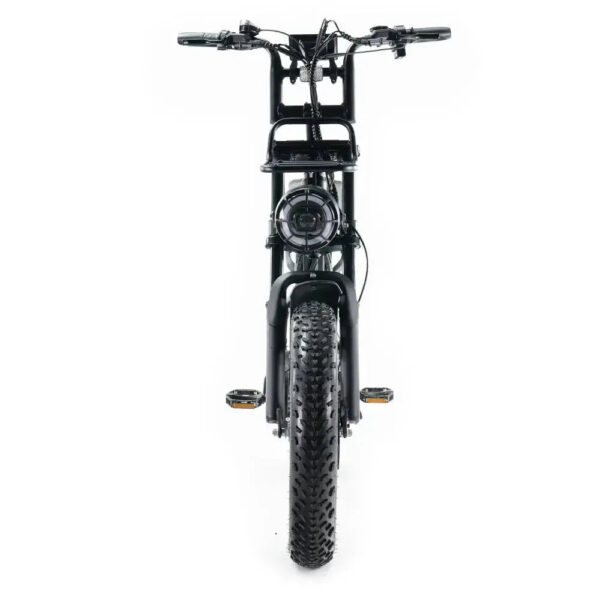 V20 - Zwart fatbike