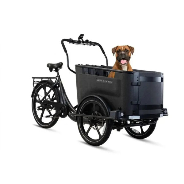 Van-Rixtel-Dog-Midnight-black-fatbikeskopen_nl-2 Van Rixtel Dog - Midnight black
